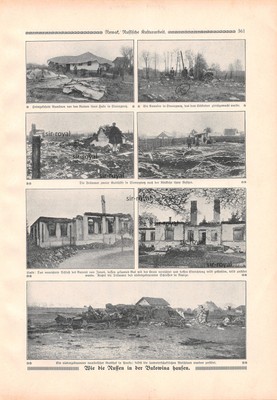 Russian Destruction in Bukovina - Carpathian Storozhynets - 1915 ~19x28cm
