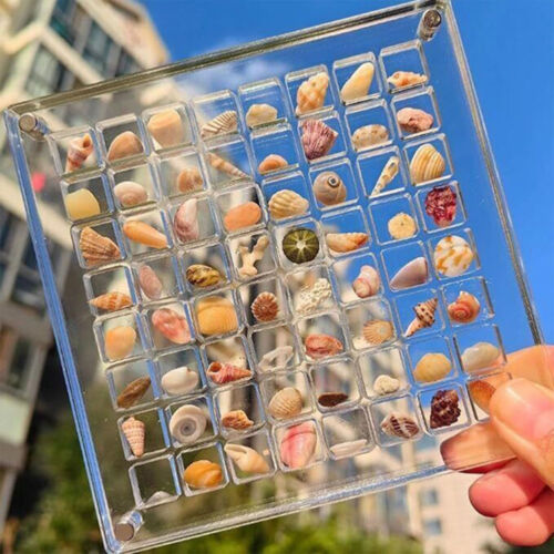 2x 64Grids Acrylic Magnetic Seashell Display Box Clear Gemstones Beads Storage - Picture 1 of 17