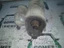 Bild 2 von 3