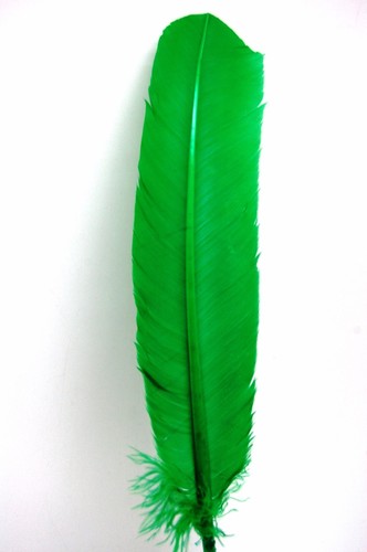PLUMAS DE PAVO 10-12" Plumas teñidas 13 Colores a Elegir Indio/Halloween/Costume - Imagen 17 de 20