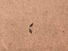 2 NOS Hamilton 12s DR 3050 Balance Staffs