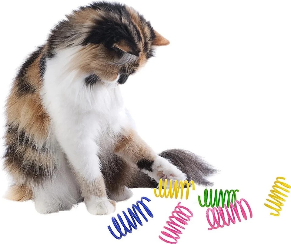 30 Packs Cat Spring Toys Plastic Springs Cat Toys Colorful for Cat ...