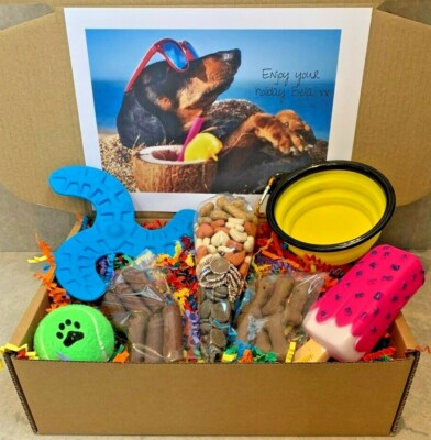 Dog Holiday Treat Pamper Hamper Box Personalised Present Gift Doggy Puppy  Large UK