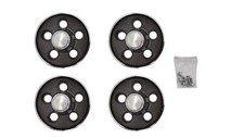 Pg Classic 244-71 1971 B E-body Dark Argent Silver Rally Wheels Center Caps