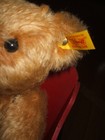 Picture 4 of 8