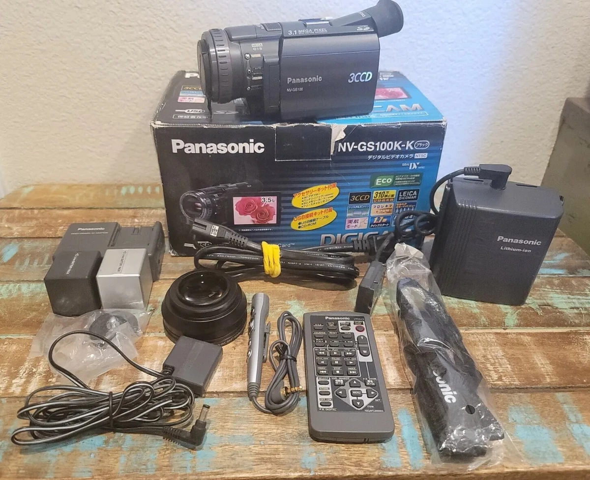 Panasonic NV-GS100K-K Digital Video 3.1MP Camera Black Digicam