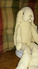 Bild 4 von 5