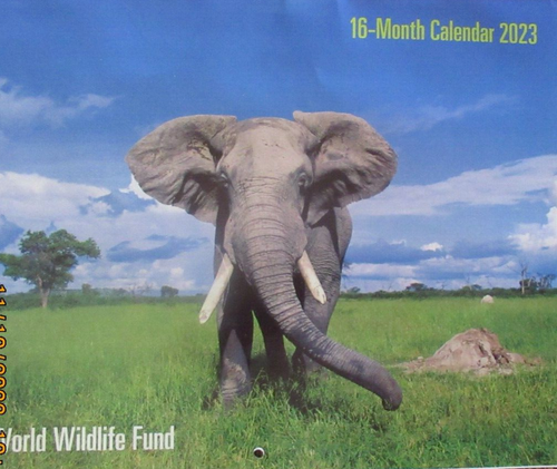 2023-world-wildlife-fund-calendar-ebay