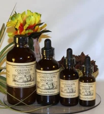 CORDYCEPS SINENSIS Double Extraction Mushroom ~ TCM ORGANIC FOLK Remedy TINCTURE