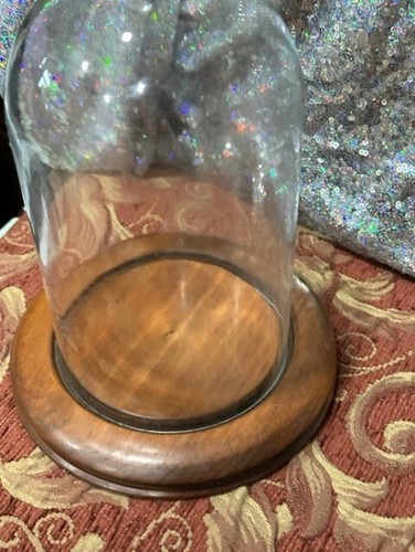 Clear Glass DISPLAY DOME & Wood Base 4-1/4 "w x 8 (6-5/8x9) - Picture 3 of 8