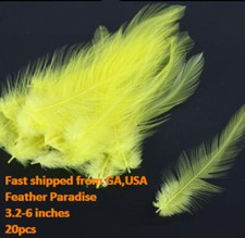 Dyed Loose Rooster Hackles Feathers Fishing Fly Feathers GA, the USA