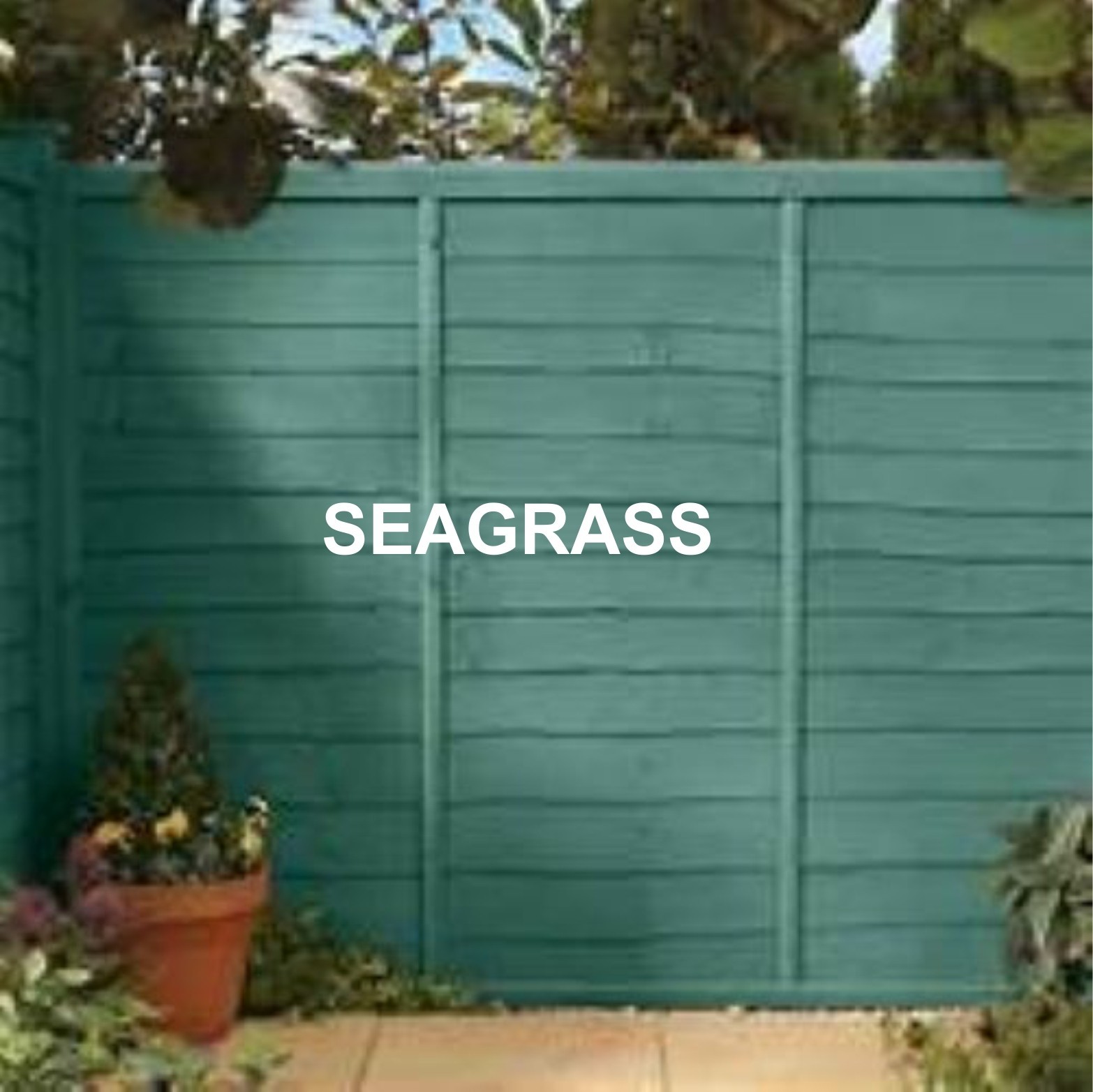 Picture 1
