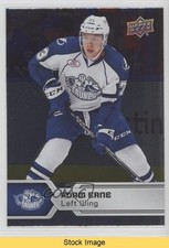 2017-18 Upper Deck AHL Silver Foil Adam Erne #14 READ i7o