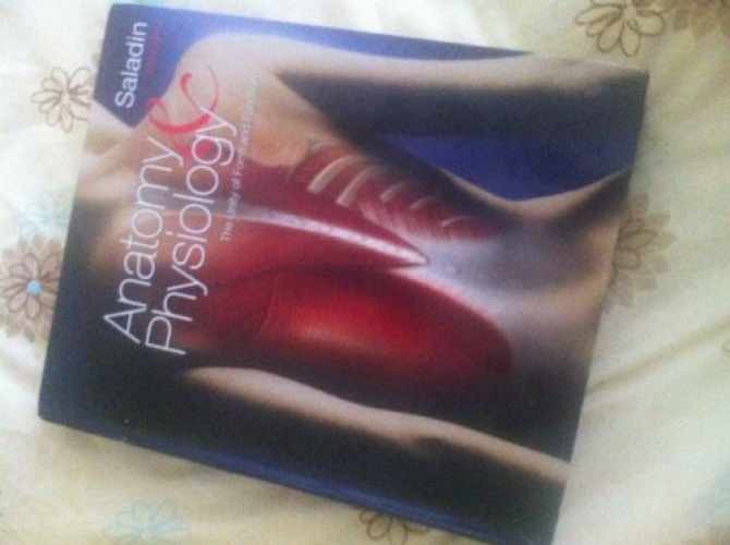 Anatomy and Physiology - Hardcover, by Kenneth S. Saladin - Acceptable