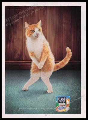 Fresh Step Kitty Litter 2000s Print Advertisement Ad 2006 Cat