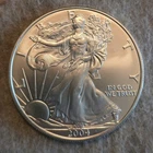 2004 1 Oz Silver American Eagle BU