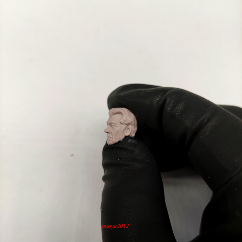 DIY 1/18 Magneto Ian McKellen Head Sculpt Fit 3.75inch Male Action Figure Body - Picture 4 of 6