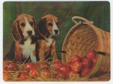 Beagles and Apples 1960's Vari-Vue Lenticular 3-D Postcard