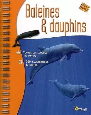 Wale und Delfine, Raute, Véronique Levet, Elisabeth Mauris und Pierre Darma