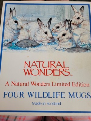 Vtg Natural Wonders Mug Set Tim Knepp Dunoon Scotland Animals Mint In Box  New!