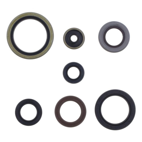 Serie Parolio Motor KTM SX250-EXC300 18-22 FüR KTM 250 Xc-W 2017- 2T-image