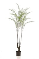 Artplants KüNstlicher Baum Baumfarn Nozel, Kunststamm, GrüN, 210Cm