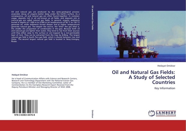 Oil And Natural Gas Fields: A Study Of Selected Countries Hedayat Omidvar-image