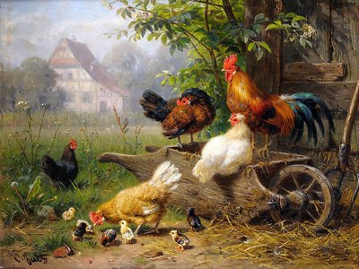 Farm rooster chickens by C. Jutz Tile Mural Kitchen Backsplash Marble Ceramic