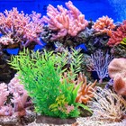 Foto 5 di 12