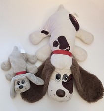 Pound Puppies 2022  2019