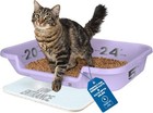 Senior Cat Litter Box, Large Low Entry for Arthritic Cats, Made in Usa