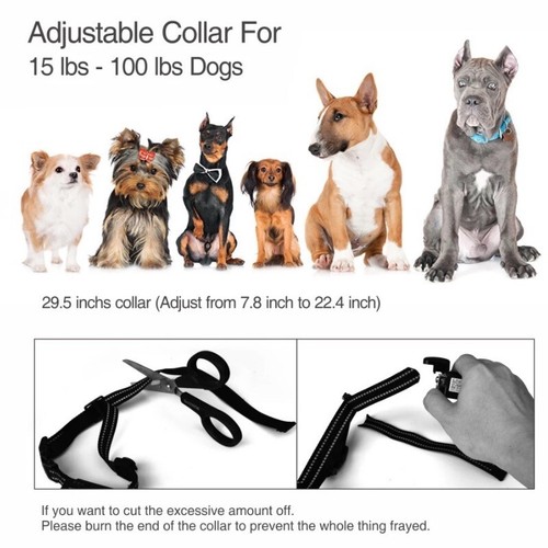 DB60 MINI BARK COLLAR FOR X-SMALL DOGS BEEP+SHOCK WATERPROOF USB RECHARGEABLE - Picture 3 of 4
