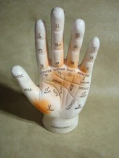 Palmistry Hand Model Resin Sculpture 7.5" RASCETTE -#3