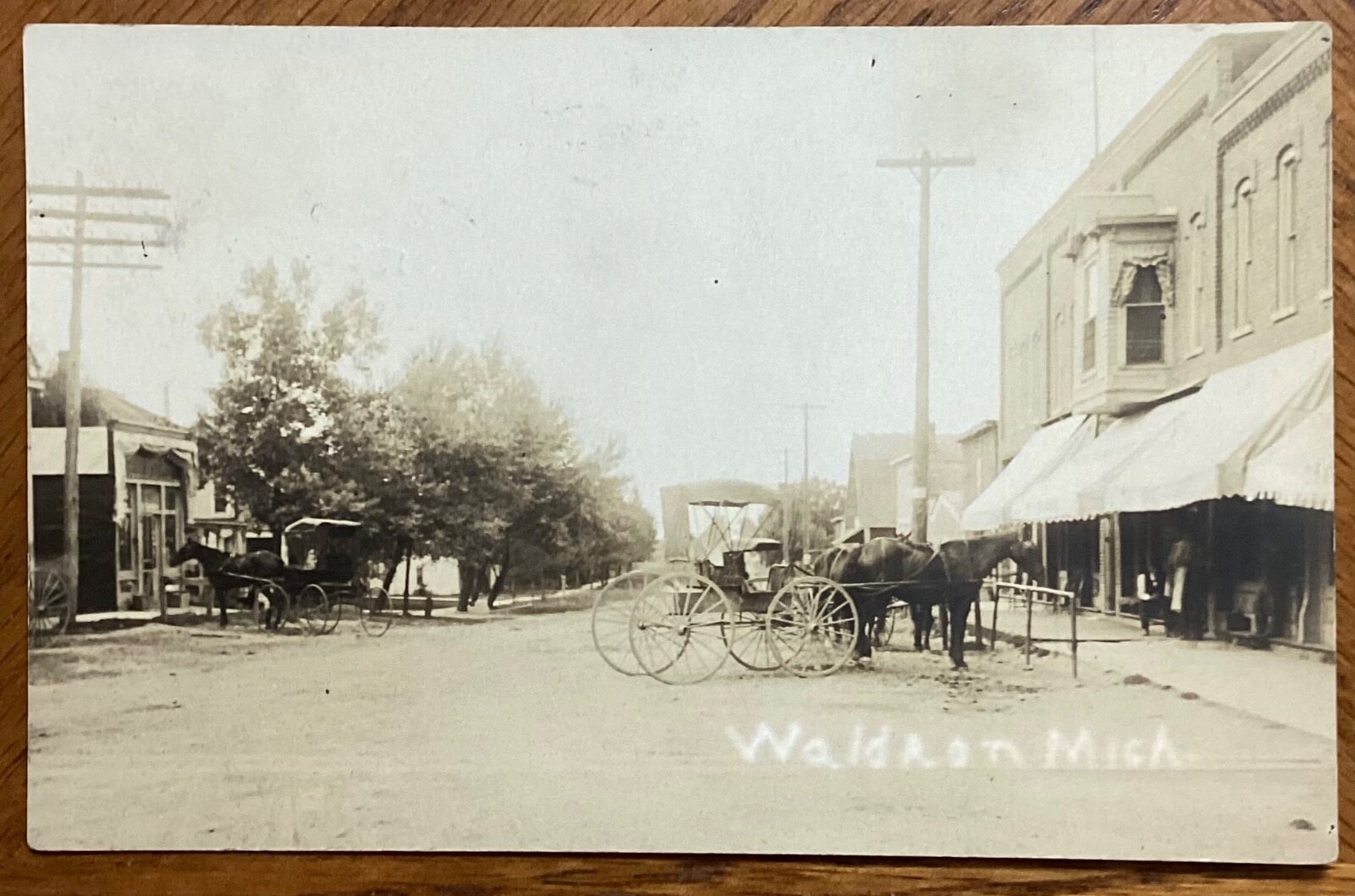 1908 Real Photo Postcard Waldron, Michigan Storefronts and Horse