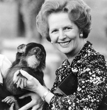 British prime minister Margaret Thatcher holding a chimpanzee Old Photo