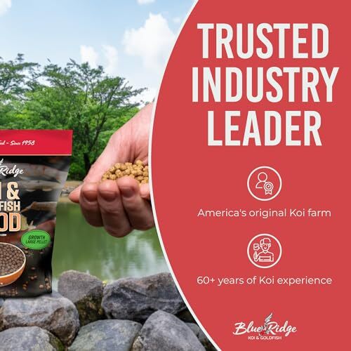 Blue Ridge Koi Fish Food 5lb - Koi Food 3/16” Large Growth  Assorted Sizes  - Picture 7 of 19