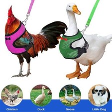 Adjustable Chicken Harness with Leash for Dog Cat Chicken Duck Traning Walking  