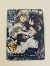 Sexy Group High School DxD Anime Doujin Waifu Art Card R12