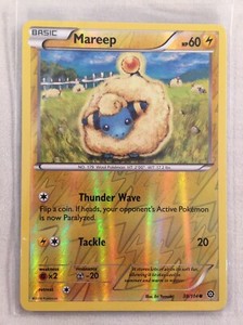 Pokemon XY Steam Siege Mareep 38/114 Common Reverse Holo