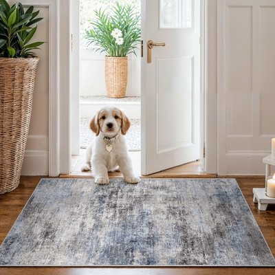 Washable NonSlip 2x3 Area Rug  Soft LowPile Kitchen Runner Mat for Home