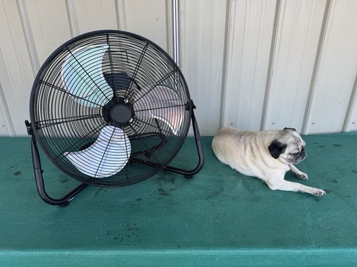 Powermax Floor Fan 20" Blade Diameter 3 Speeds