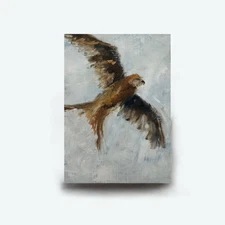 ACEO ATC Limited Edition Art Print /8 Sea Hawk Bird Flying Nature Animals