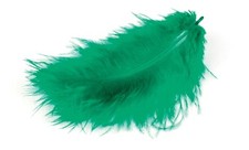 Piume Meyco Marabu colore verde 17 pezzi in bustina lunghe circa 10-12 cm