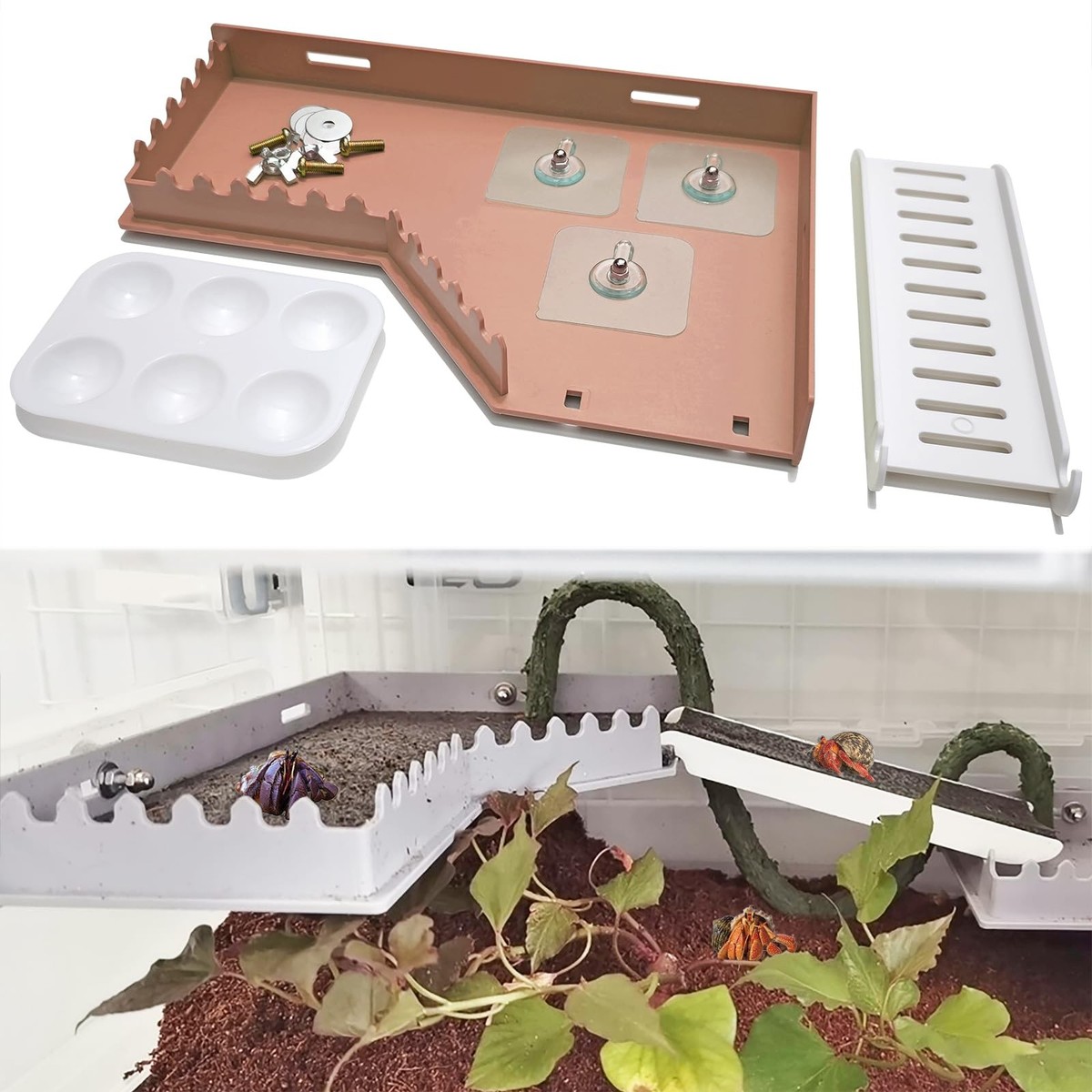 Hermit Crab Platform with Ladder and Food Dish Climbing Toy Tank