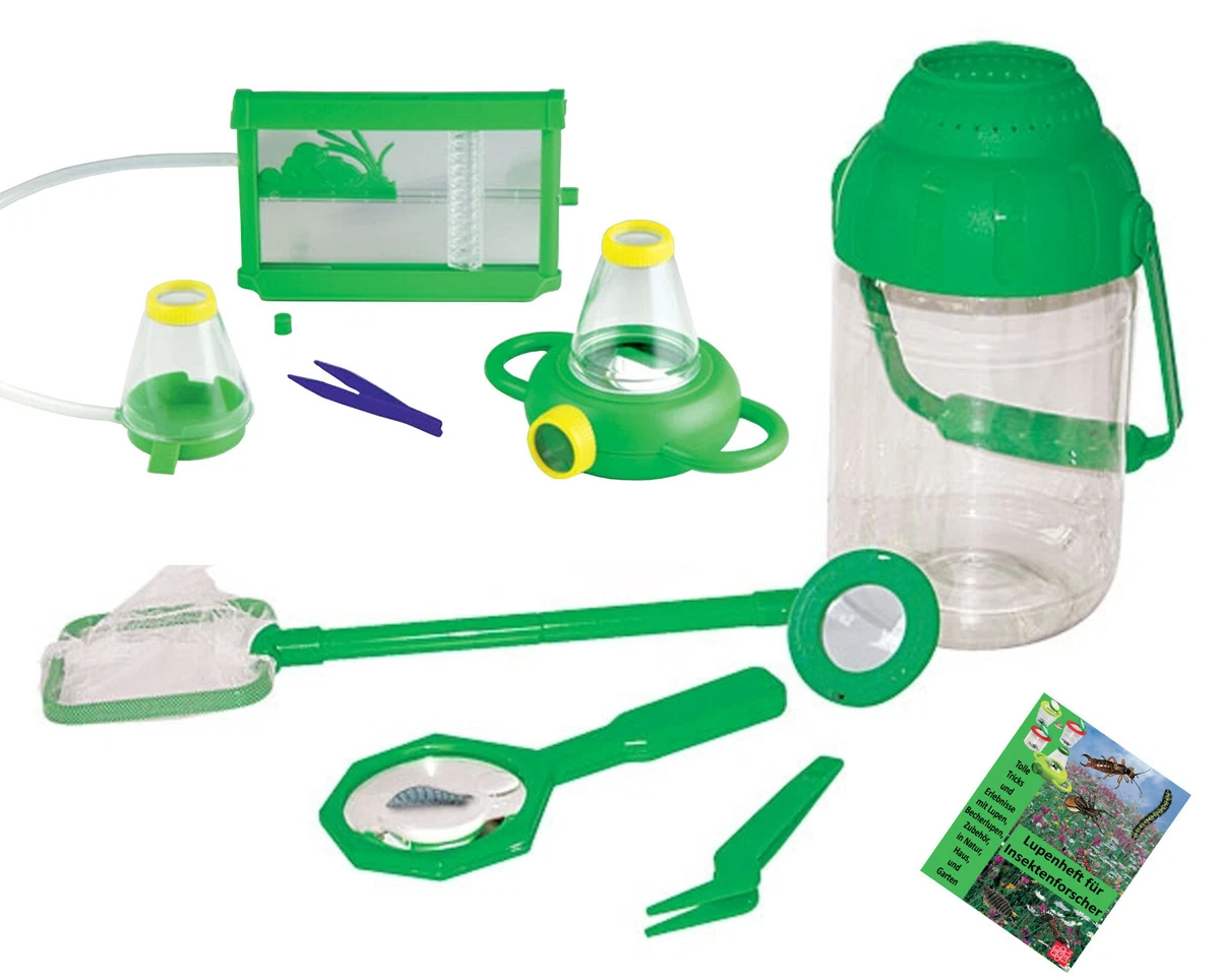 Ameisenfarm Biologie-Lernspielzeuge online kaufen