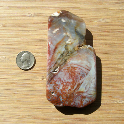 Plume Agate Crystal Polished Stone Slice Red & Gray Smoke Banding End Cut 4.75''
