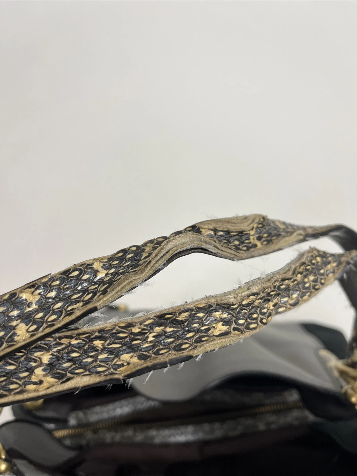 Borsa a tracolla Coach Exotic Dalton 31 in pelle pelle di serpente scamosciata grigio erica nero