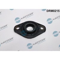 Dr.Motor Automotive DRM0215 Dichtung, DüSenhalter