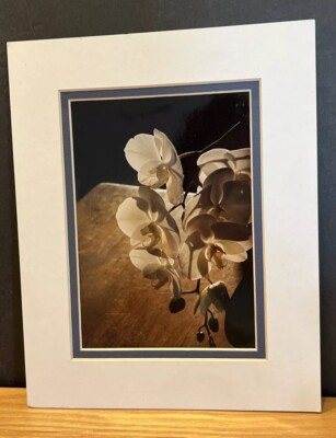 Photograph Of White Orchids Signed By Robert Talen Double Matte Kodak Paper