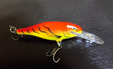 Rapala Shad Rap SR7 Gander Mountain Exclusive...